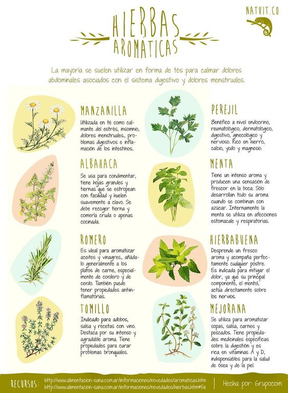 Propiedades de las plantas medicinales